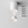 Миниатюра фото потолочный светодиодный светильник maytoni alfa led c064cl-8w4k-rd-wb | 220svet.ru